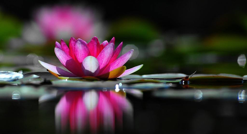 5e2002de27776.jpg timg (1).jpg